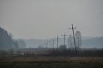 Puszcza Knyszy�ska