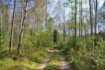 Puszcza Knyszy�ska