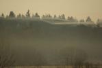 Puszcza Knyszy�ska