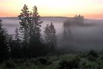 Puszcza Knyszy�ska