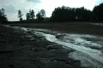 Rzeki Podlasia