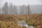 Rzeki Podlasia