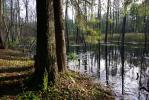 Rzeki Podlasia