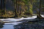 Rzeki Podlasia