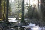 Rzeki Podlasia