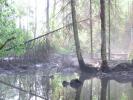 Rzeki Podlasia