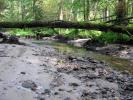 Rzeki Podlasia