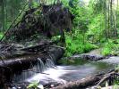 Rzeki Podlasia
