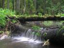 Rzeki Podlasia