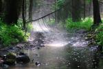 Rzeki Podlasia