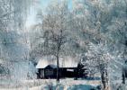 Podlaska wie�