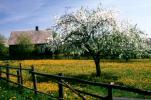 Podlaska wie�