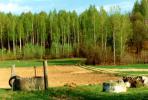 Podlaska wie�