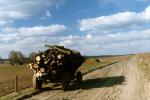 Podlaska wie�