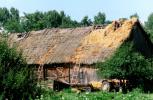 Podlaska wie�