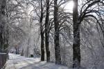 Podlaska wie�