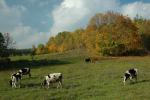 Podlaska wie�