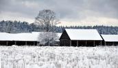 Podlaska wie�