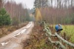 Podlaska wie�
