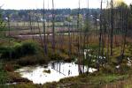 Podlaska wie�