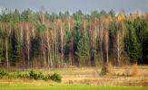 Podlaska wie�