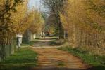 Podlaska wie�