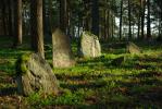 Podlaska wie�