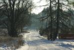 Podlaska wie�