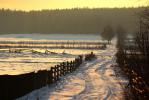 Podlaska wie�