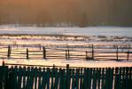 Podlaska wie�