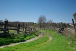 Podlaska wie�