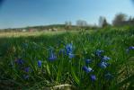 Podlaska wie�