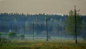 Podlaska wie�