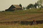 Podlaska wie�