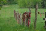 Podlaska wie�