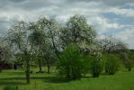 Podlaska wie�