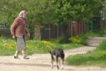 Podlaska wie�