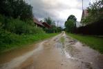 Podlaska wie�