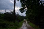 Podlaska wie�