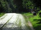 Podlaska wie�