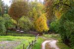 Podlaska wie�