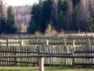 Podlaska wie�