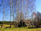 Podlaska wie�