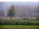 Podlaska wie�