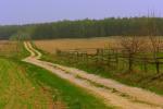 Podlaska wie�