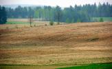 Podlaska wie�
