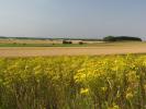 Podlaska wie�