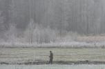 Podlaska wie�