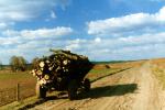 Podlaska wie�
